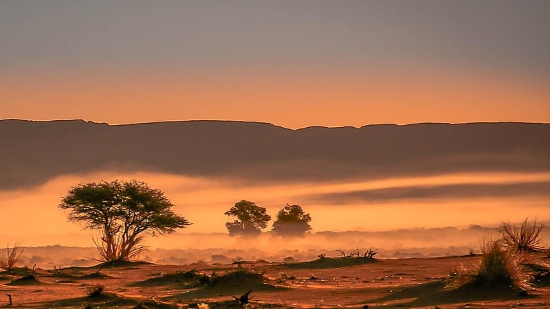 travel savanna sunset