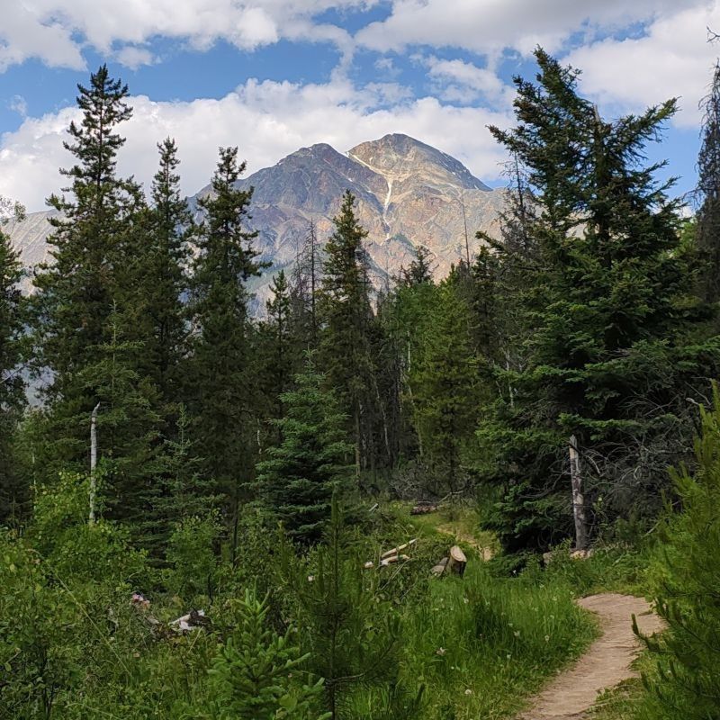 jasper-trekking-pass