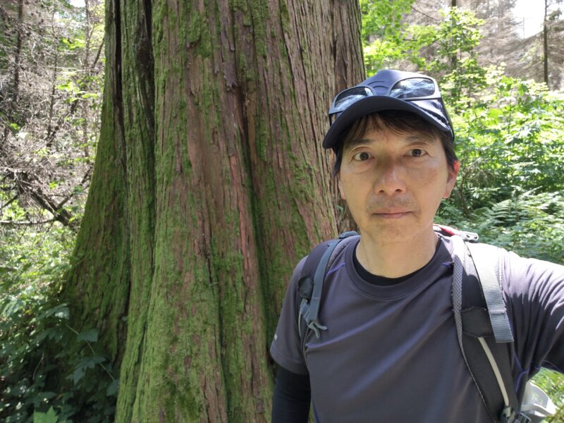 vancouver-stanley-park-big-tree-and-me