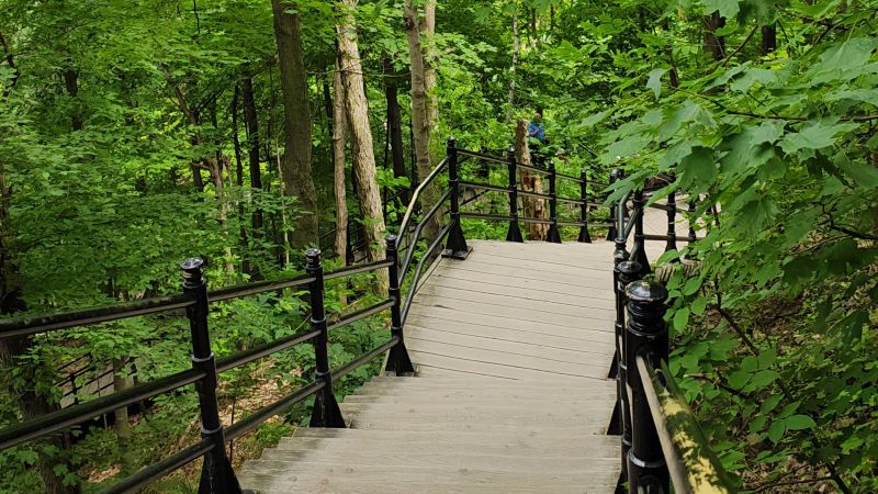 montreal-mont-royal-park