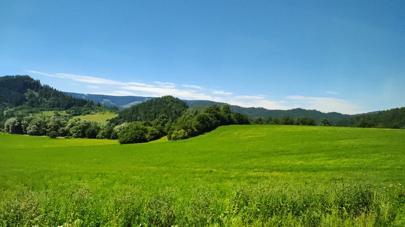 view-from-bus-for-krakow