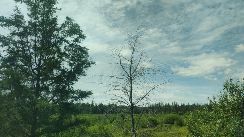 view-via-rail-canada-montreal-to-halifax