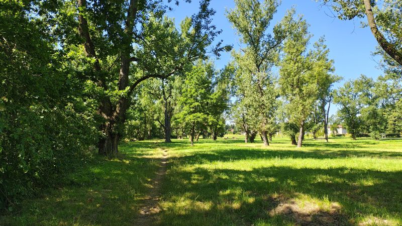nearby-auschwitz- birkenau-concentration-camp