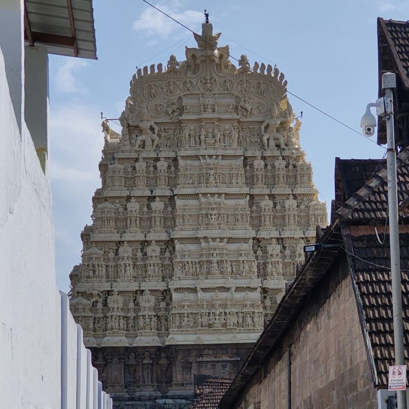 thiruvananthapuram-sree-padmanabhaswamy-temple