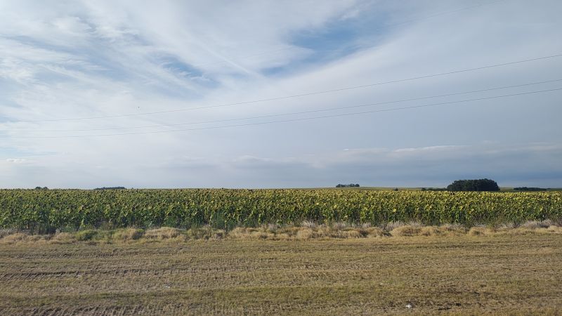 by-bus-from-colonia-to-montevideo