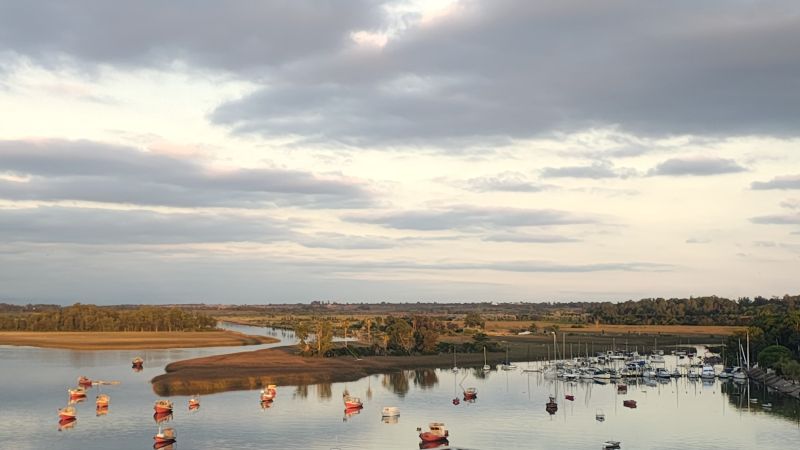by-bus-from-colonia-to-montevideo