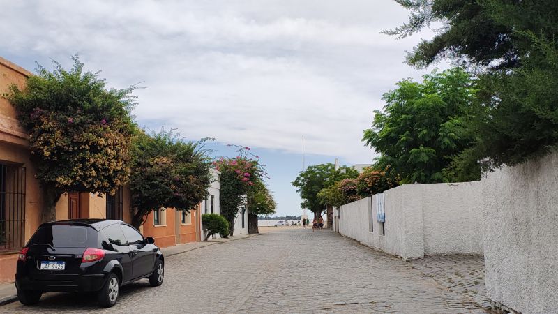 stay-in-colonia