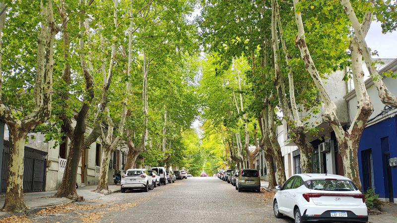 stay-in-colonia