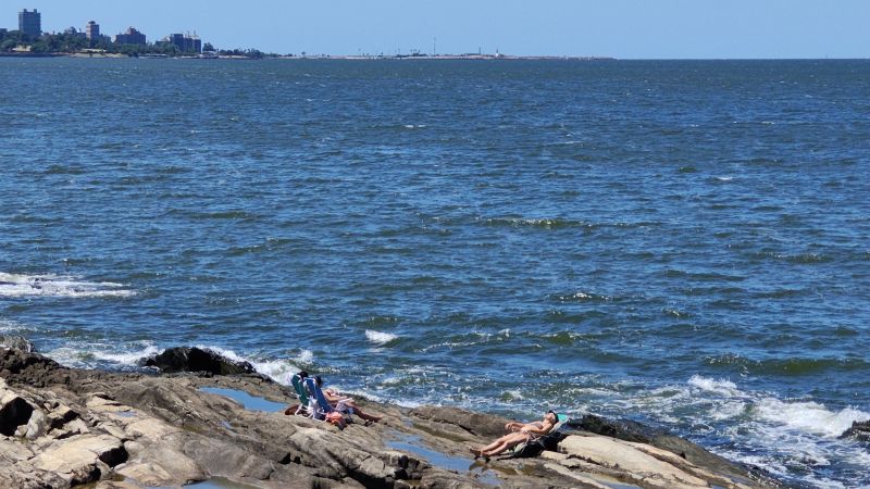 stay-in-montevideo
