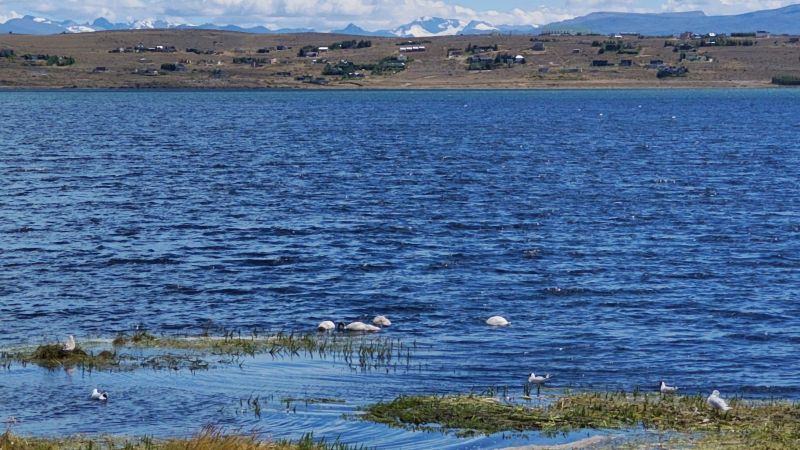 walking-around-el-calafate