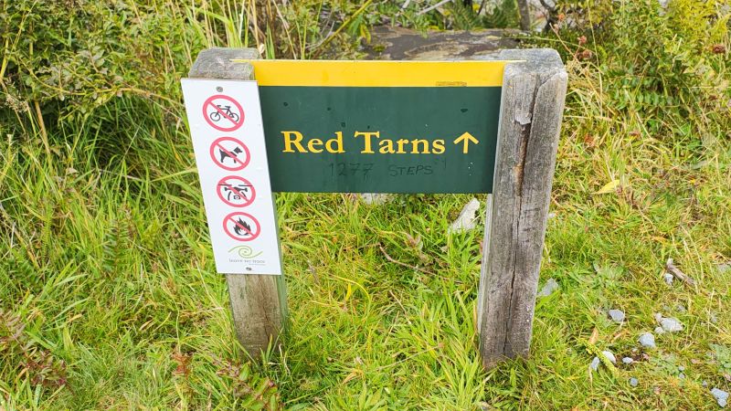 red-tarns-aoraki-mt-cook
