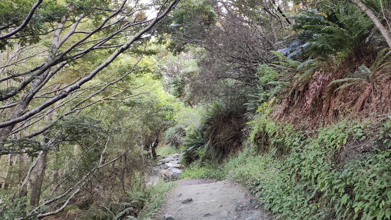 rob-roy-track-wanaka