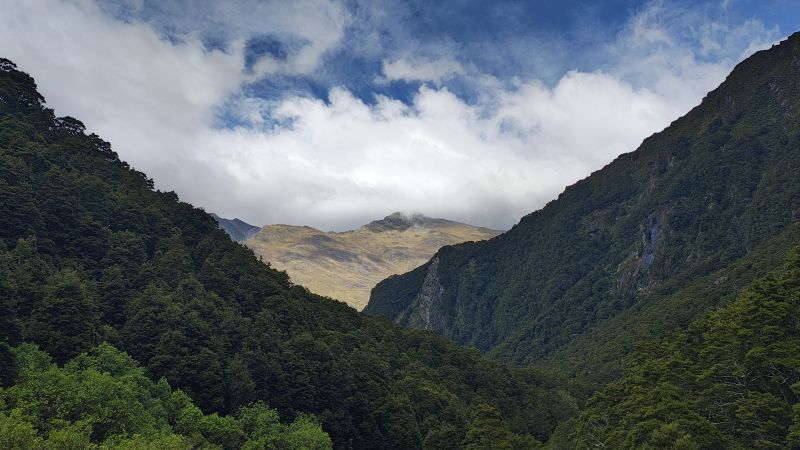 rob-roy-track-wanaka