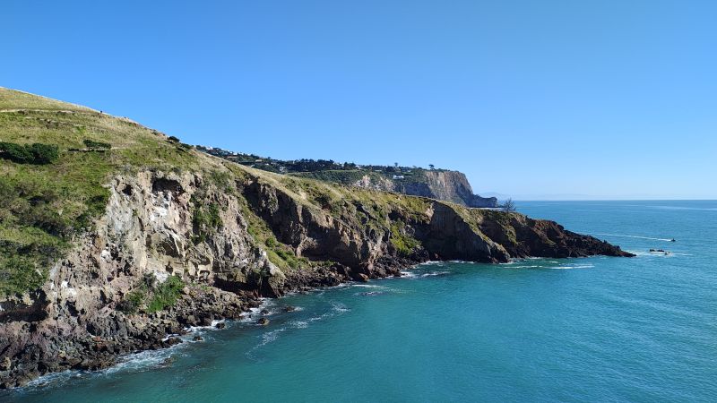 godley-head-walkway-christchurch